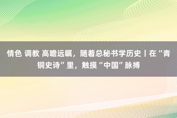 情色 调教 高瞻远瞩，随着总秘书学历史丨在“青铜史诗”里，触摸“中国”脉搏