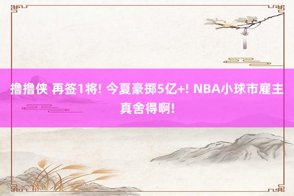 撸撸侠 再签1将! 今夏豪掷5亿+! NBA小球市雇主真舍得啊!