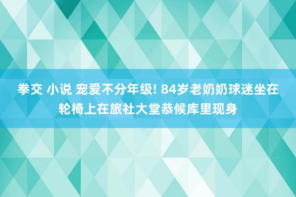 拳交 小说 宠爱不分年级! 84岁老奶奶球迷坐在轮椅上在旅社大堂恭候库里现身