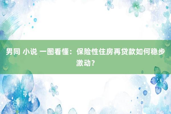 男同 小说 一图看懂：保险性住房再贷款如何稳步激动？