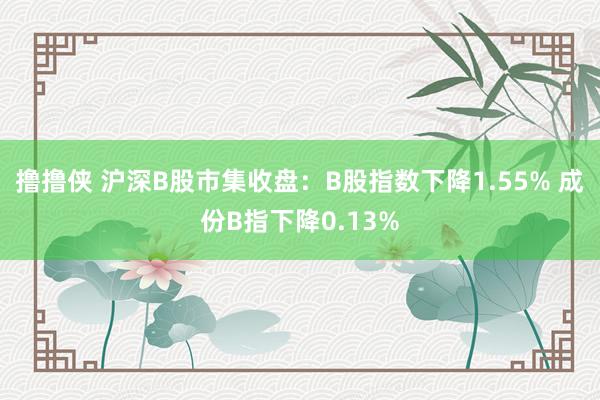 撸撸侠 沪深B股市集收盘：B股指数下降1.55% 成份B指下降0.13%