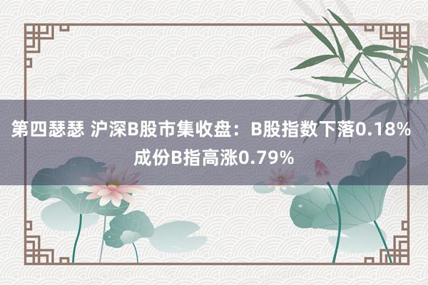 第四瑟瑟 沪深B股市集收盘：B股指数下落0.18% 成份B指高涨0.79%