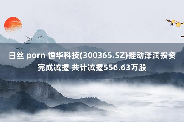 白丝 porn 恒华科技(300365.SZ)推动泽润投资完成减握 共计减握556.63万股