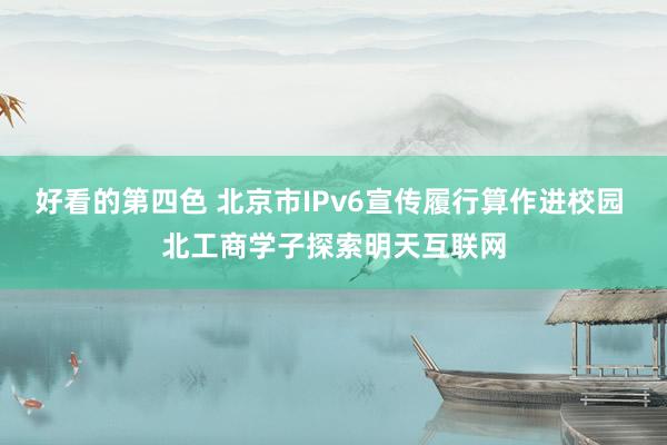 好看的第四色 北京市IPv6宣传履行算作进校园 北工商学子探索明天互联网