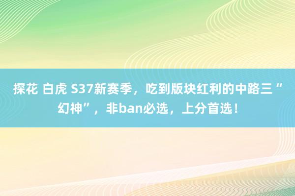 探花 白虎 S37新赛季，吃到版块红利的中路三“幻神”，非ban必选，上分首选！