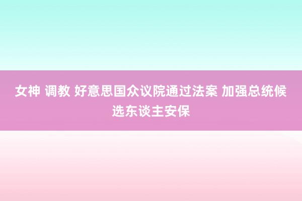 女神 调教 好意思国众议院通过法案 加强总统候选东谈主安保