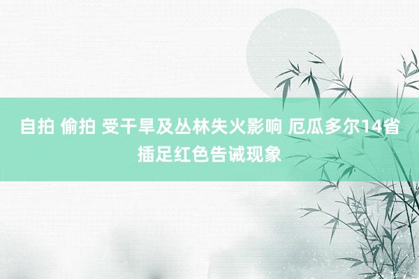 自拍 偷拍 受干旱及丛林失火影响 厄瓜多尔14省插足红色告诫现象