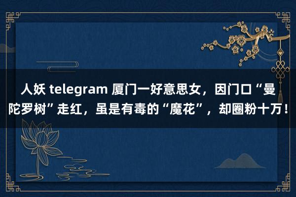 人妖 telegram 厦门一好意思女，因门口“曼陀罗树”走红，虽是有毒的“魔花”，却圈粉十万！