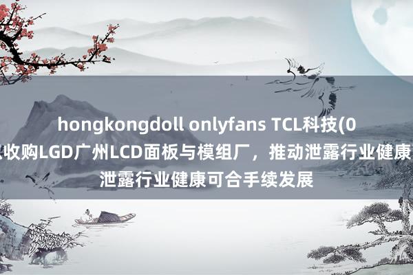 hongkongdoll onlyfans TCL科技(000100.SZ)拟收购LGD广州LCD面板与模组厂，推动泄露行业健康可合手续发展