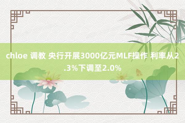 chloe 调教 央行开展3000亿元MLF操作 利率从2.3%下调至2.0%