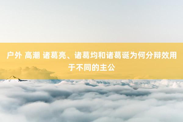 户外 高潮 诸葛亮、诸葛均和诸葛诞为何分辩效用于不同的主公