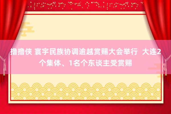 撸撸侠 寰宇民族协调逾越赏赐大会举行  大连2个集体、1名个东谈主受赏赐