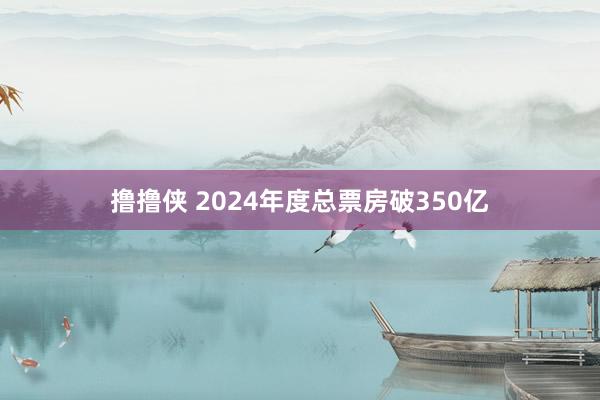 撸撸侠 2024年度总票房破350亿