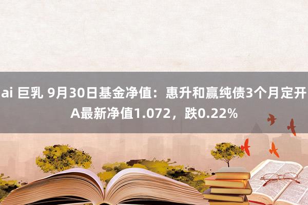 ai 巨乳 9月30日基金净值：惠升和赢纯债3个月定开A最新净值1.072，跌0.22%