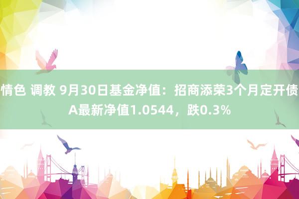 情色 调教 9月30日基金净值：招商添荣3个月定开债A最新净值1.0544，跌0.3%