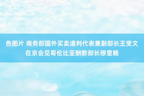 色图片 商务部国外买卖道判代表兼副部长王受文在京会见哥伦比亚酬酢部长穆里略