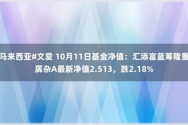 马来西亚#文爱 10月11日基金净值：汇添富蓝筹隆重羼杂A最新净值2.513，跌2.18%