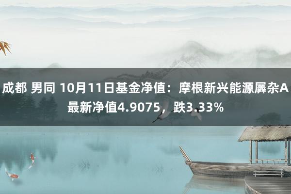 成都 男同 10月11日基金净值：摩根新兴能源羼杂A最新净值4.9075，跌3.33%