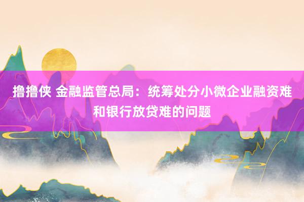 撸撸侠 金融监管总局：统筹处分小微企业融资难和银行放贷难的问题