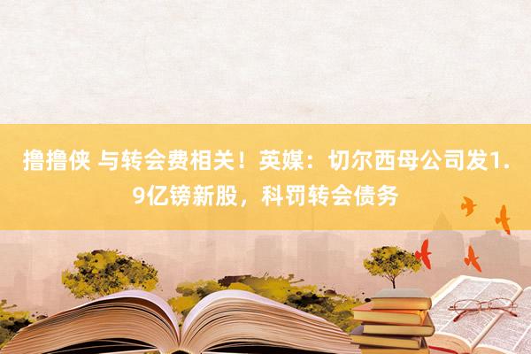 撸撸侠 与转会费相关！英媒：切尔西母公司发1.9亿镑新股，科罚转会债务