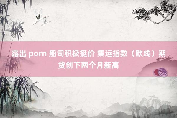 露出 porn 船司积极挺价 集运指数（欧线）期货创下两个月新高