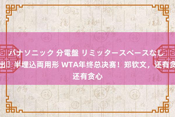 パナソニック 分電盤 リミッタースペースなし 露出・半埋込両用形 WTA年终总决赛！郑钦文，还有贪心