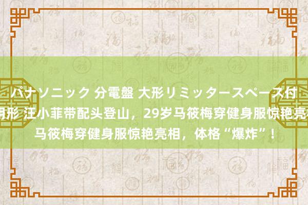 パナソニック 分電盤 大形リミッタースペース付 露出・半埋込両用形 汪小菲带配头登山，29岁马筱梅穿健身服惊艳亮相，体格“爆炸”！