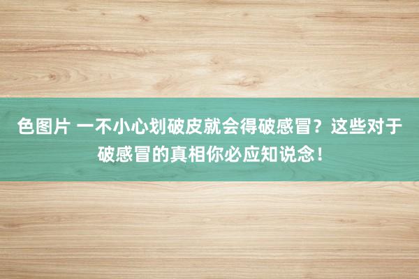 色图片 一不小心划破皮就会得破感冒？这些对于破感冒的真相你必应知说念！