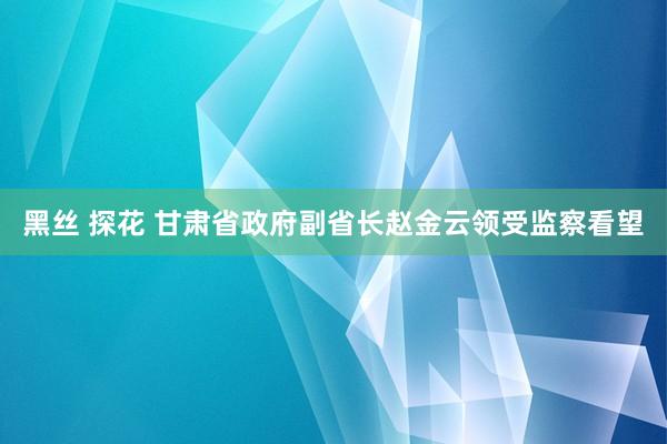 黑丝 探花 甘肃省政府副省长赵金云领受监察看望