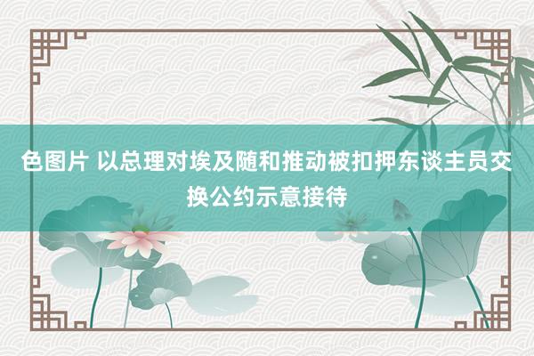 色图片 以总理对埃及随和推动被扣押东谈主员交换公约示意接待