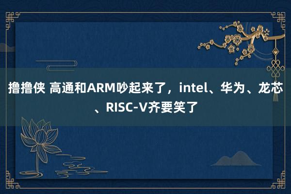 撸撸侠 高通和ARM吵起来了，intel、华为、龙芯、RISC-V齐要笑了