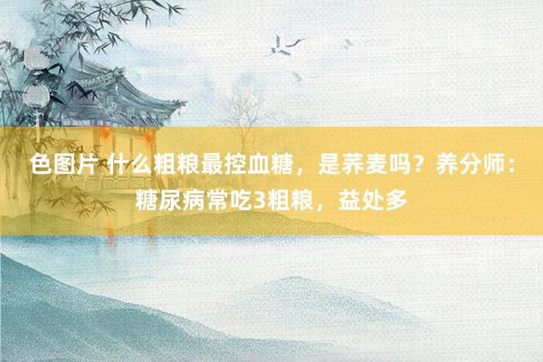 色图片 什么粗粮最控血糖，是荞麦吗？养分师：糖尿病常吃3粗粮，益处多