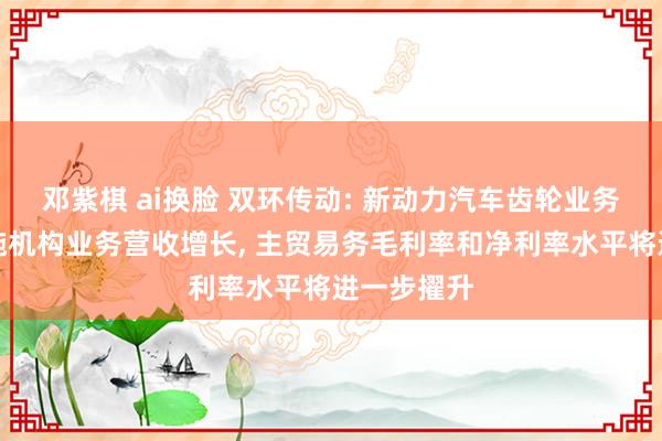 邓紫棋 ai换脸 双环传动: 新动力汽车齿轮业务和智能实施机构业务营收增长， 主贸易务毛利率和净利率水平将进一步擢升