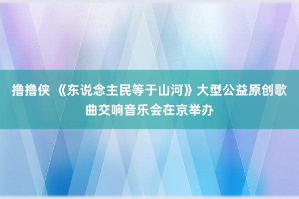 撸撸侠 《东说念主民等于山河》大型公益原创歌曲交响音乐会在京举办