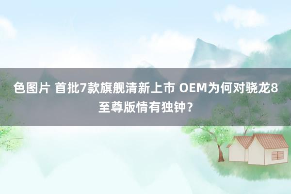 色图片 首批7款旗舰清新上市 OEM为何对骁龙8至尊版情有独钟？