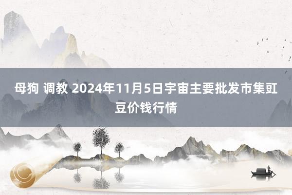 母狗 调教 2024年11月5日宇宙主要批发市集豇豆价钱行情