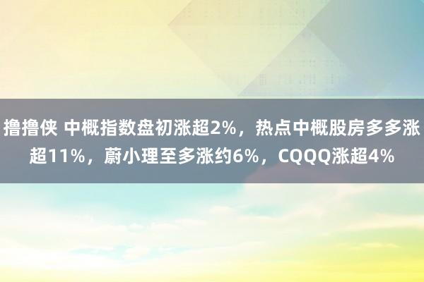 撸撸侠 中概指数盘初涨超2%，热点中概股房多多涨超11%，蔚小理至多涨约6%，CQQQ涨超4%