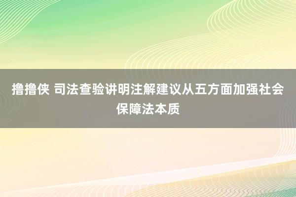 撸撸侠 司法查验讲明注解建议从五方面加强社会保障法本质