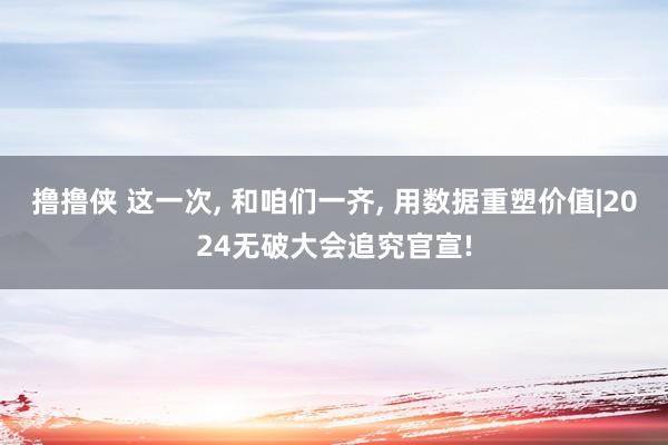 撸撸侠 这一次， 和咱们一齐， 用数据重塑价值|2024无破大会追究官宣!