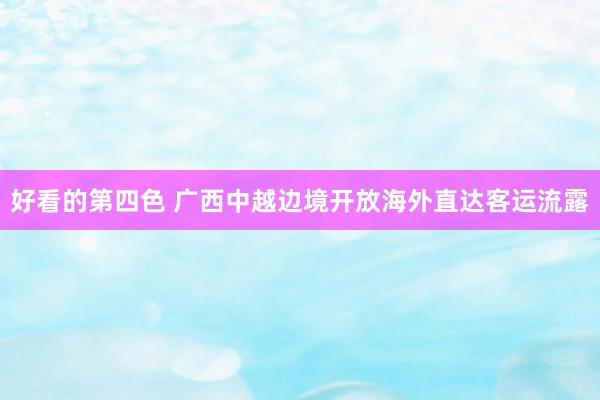 好看的第四色 广西中越边境开放海外直达客运流露