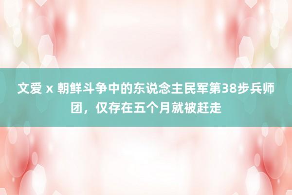 文爱 x 朝鲜斗争中的东说念主民军第38步兵师团，仅存在五个月就被赶走