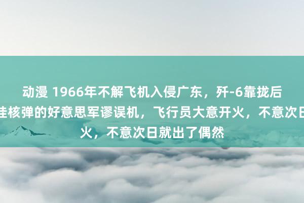 动漫 1966年不解飞机入侵广东，歼-6靠拢后发现竟是可挂核弹的好意思军谬误机，飞行员大意开火，不意次日就出了偶然