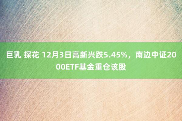 巨乳 探花 12月3日高新兴跌5.45%，南边中证2000ETF基金重仓该股