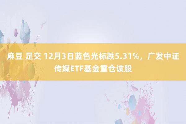 麻豆 足交 12月3日蓝色光标跌5.31%，广发中证传媒ETF基金重仓该股