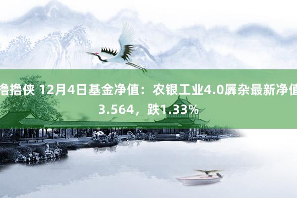 撸撸侠 12月4日基金净值：农银工业4.0羼杂最新净值3.564，跌1.33%