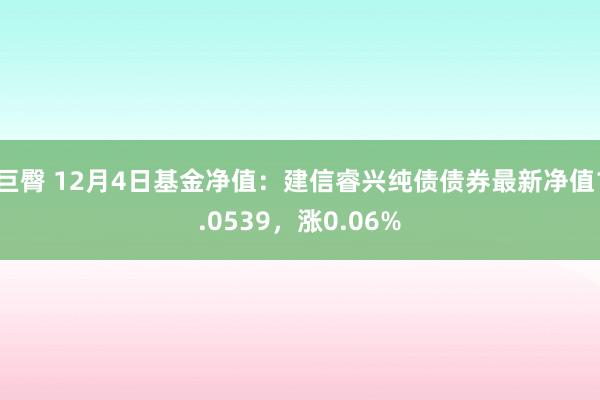 巨臀 12月4日基金净值：建信睿兴纯债债券最新净值1.0539，涨0.06%