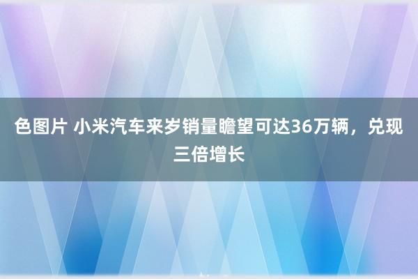 色图片 小米汽车来岁销量瞻望可达36万辆，兑现三倍增长