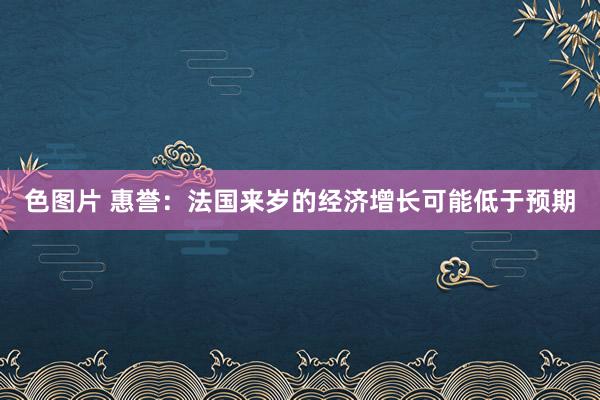 色图片 惠誉：法国来岁的经济增长可能低于预期