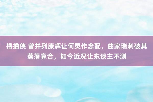 撸撸侠 曾并列康辉让何炅作念配，曲家瑞刺破其落落寡合，如今近况让东谈主不测