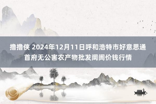 撸撸侠 2024年12月11日呼和浩特市好意思通首府无公害农产物批发阛阓价钱行情